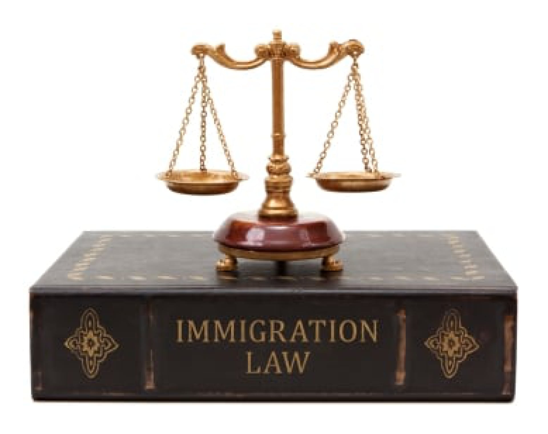 immigration law picture